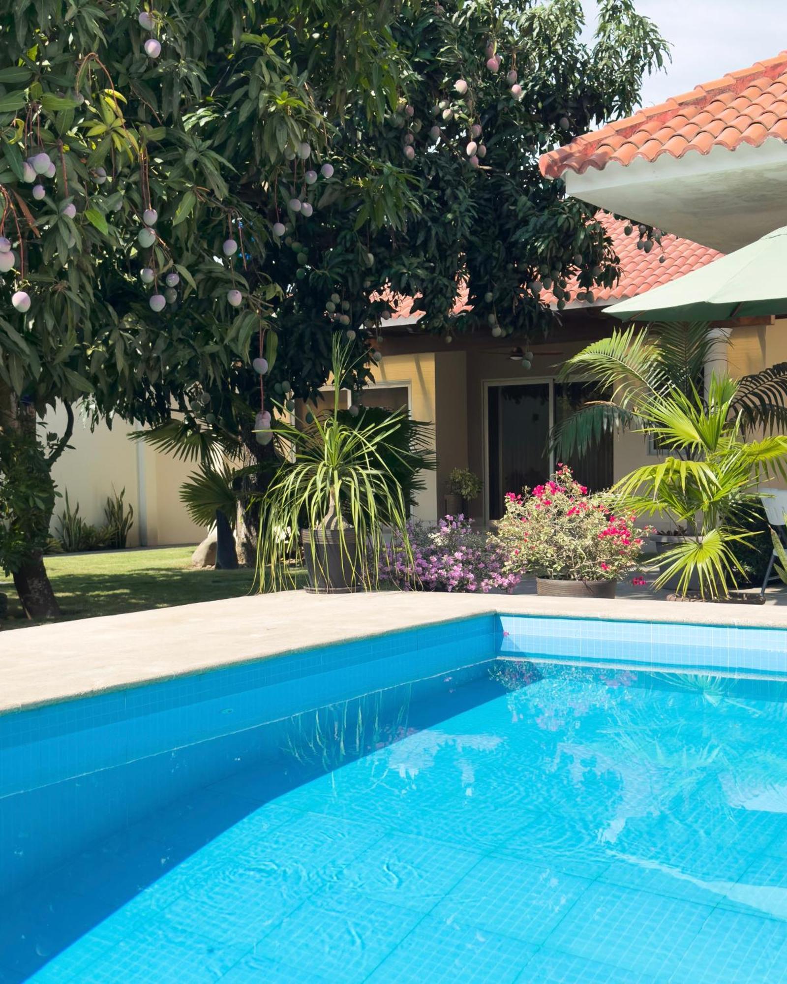 Apartment Tika Casa Jardin & - 1 *